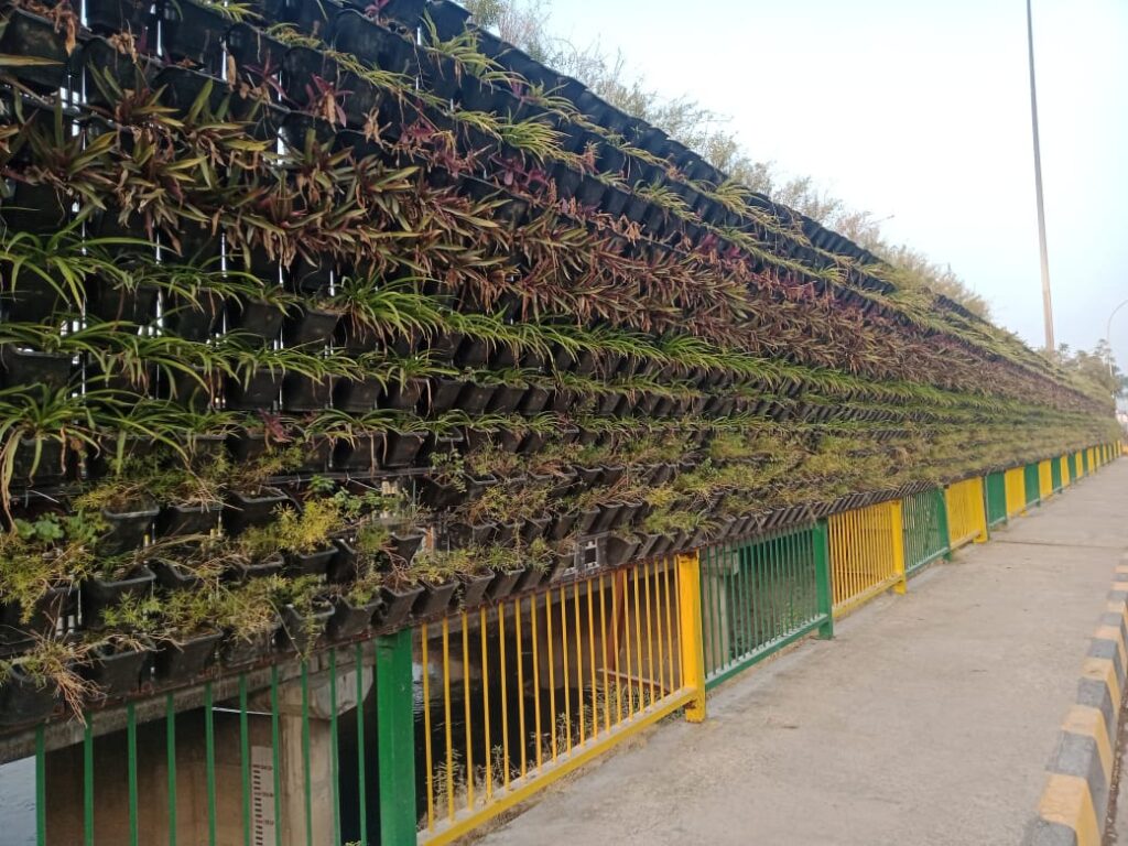 Landscaping and its Importance in Our Life