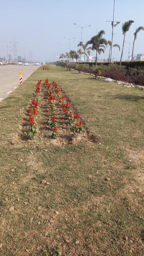 Landscaping and its Importance in Our Life