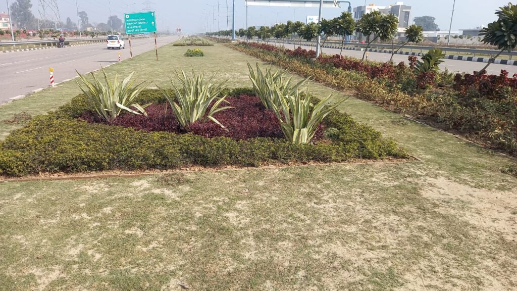 Landscaping and its Importance in Our Life