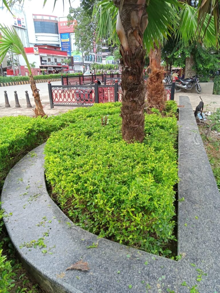 Landscaping and its Importance in Our Life