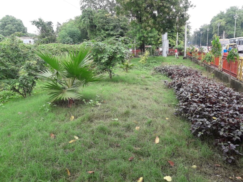 Landscaping and its Importance in Our Life