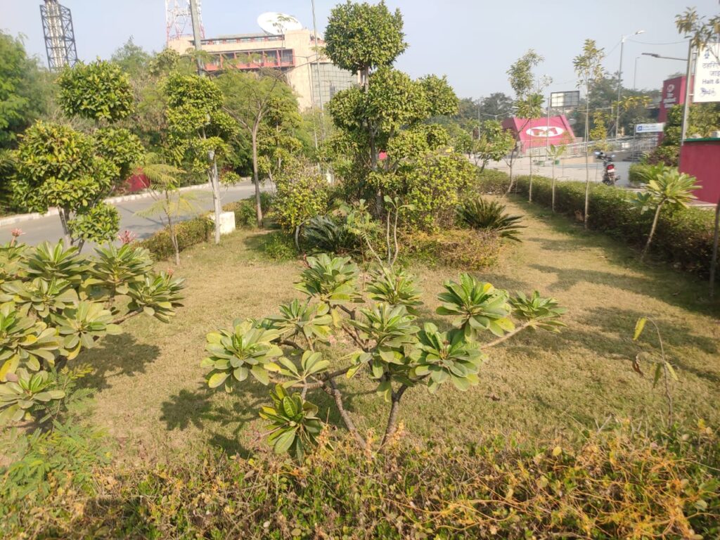 Landscaping and its Importance in Our Life