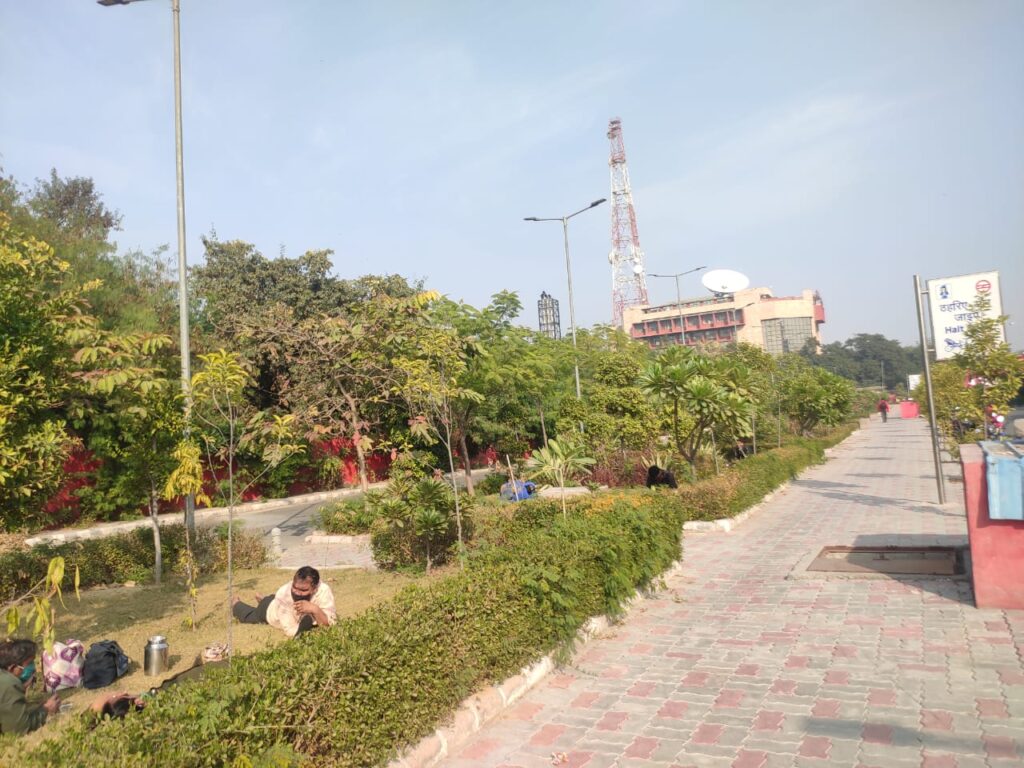 Landscaping and its Importance in Our Life