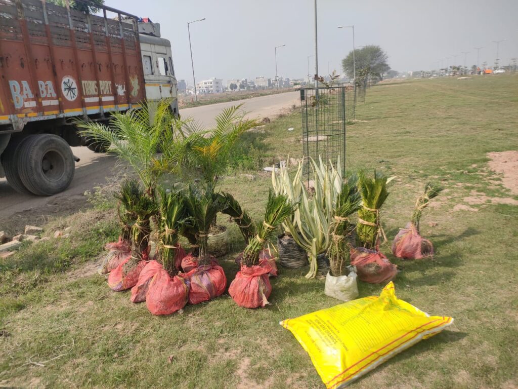 Plan and Execute Landscape Projects